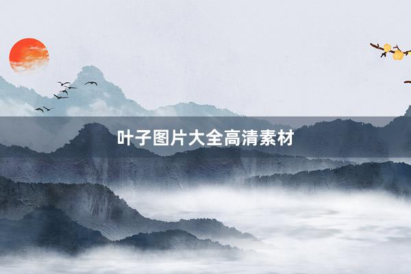 叶子图片大全高清素材