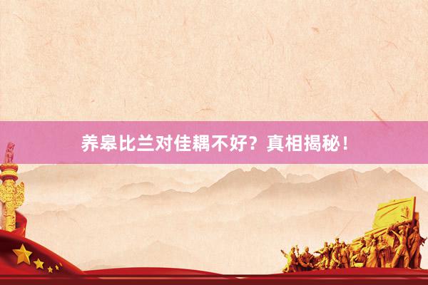 养皋比兰对佳耦不好？真相揭秘！
