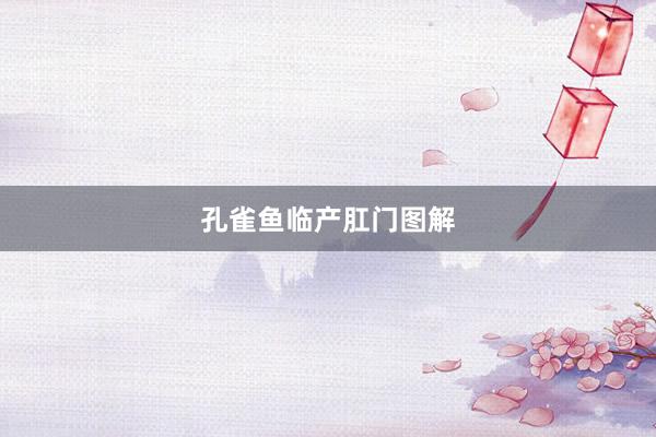 孔雀鱼临产肛门图解