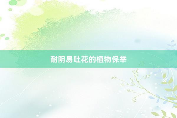 耐阴易吐花的植物保举