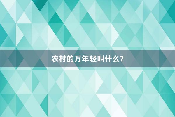 农村的万年轻叫什么？